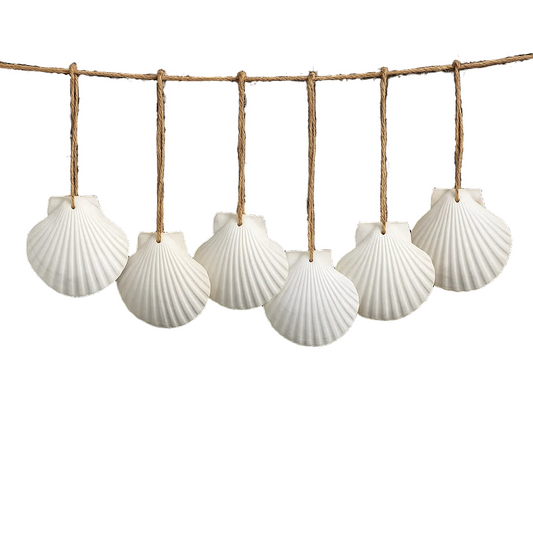 16 Pcs Natural Scallop Shells hanging on a string against a white background