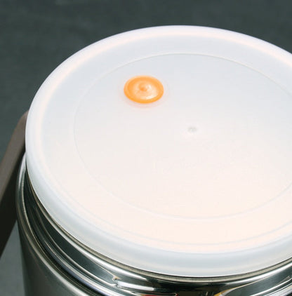 Leak-proof stainless steel lunch container with secure locks