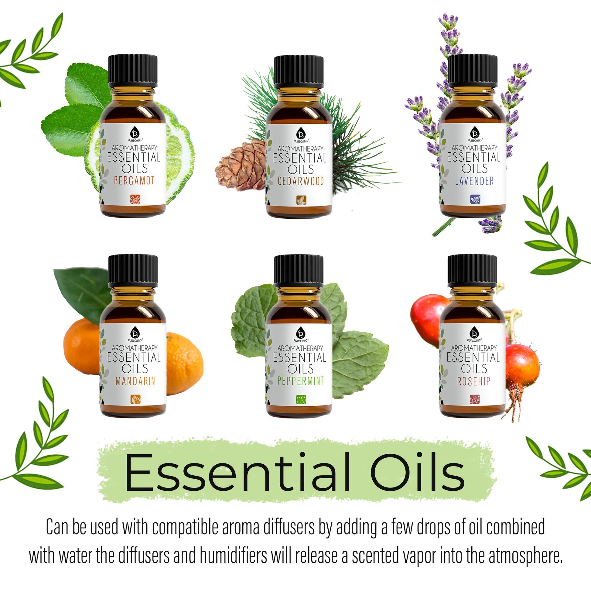 Set of essential oil bottles with labels and decorative elements on a white background