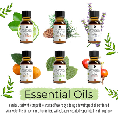 Set of essential oil bottles with labels and decorative elements on a white background