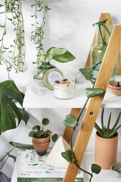 Krombee Bloom and Nurture Crystal Candle with plants