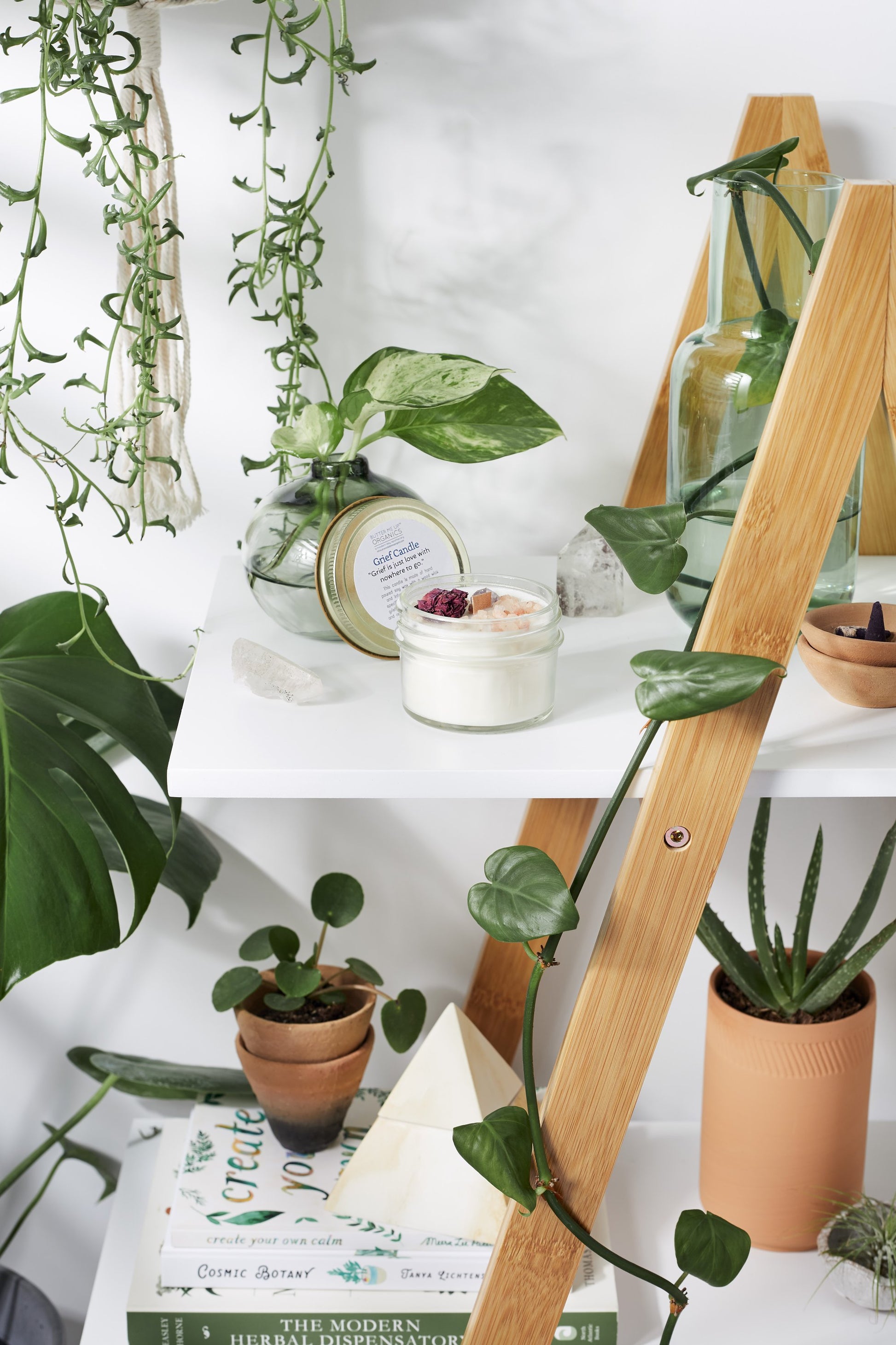 Krombee Remembrance Candle with indoor plants on a white surface with a wooden ladder and books in the background