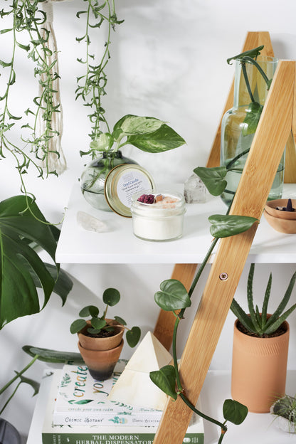 Krombee Remembrance Candle with indoor plants on a white surface with a wooden ladder and books in the background