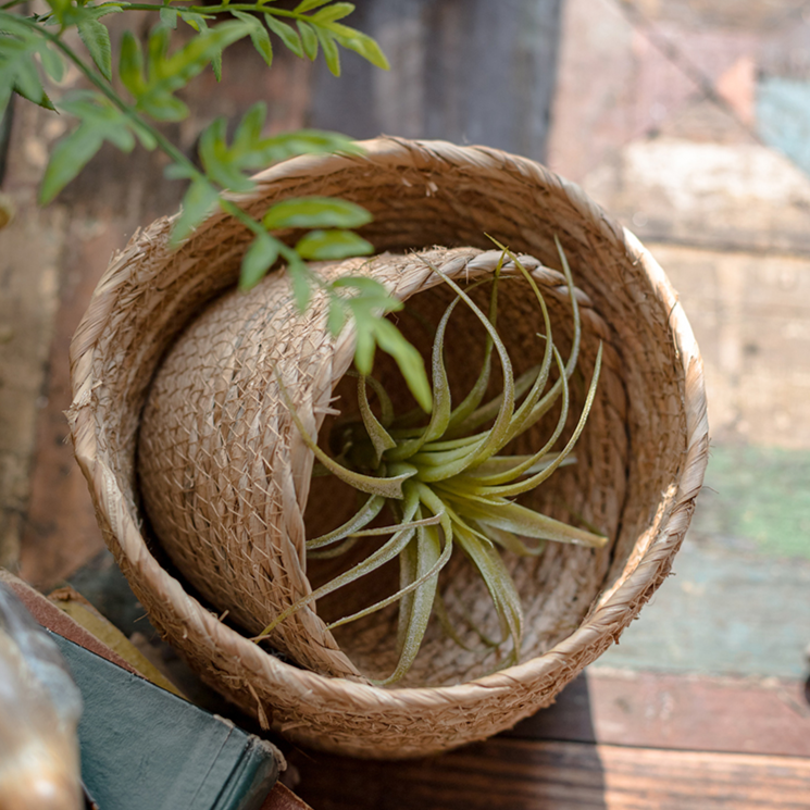 Top view of large and medium sized round natural straw desktop baskets