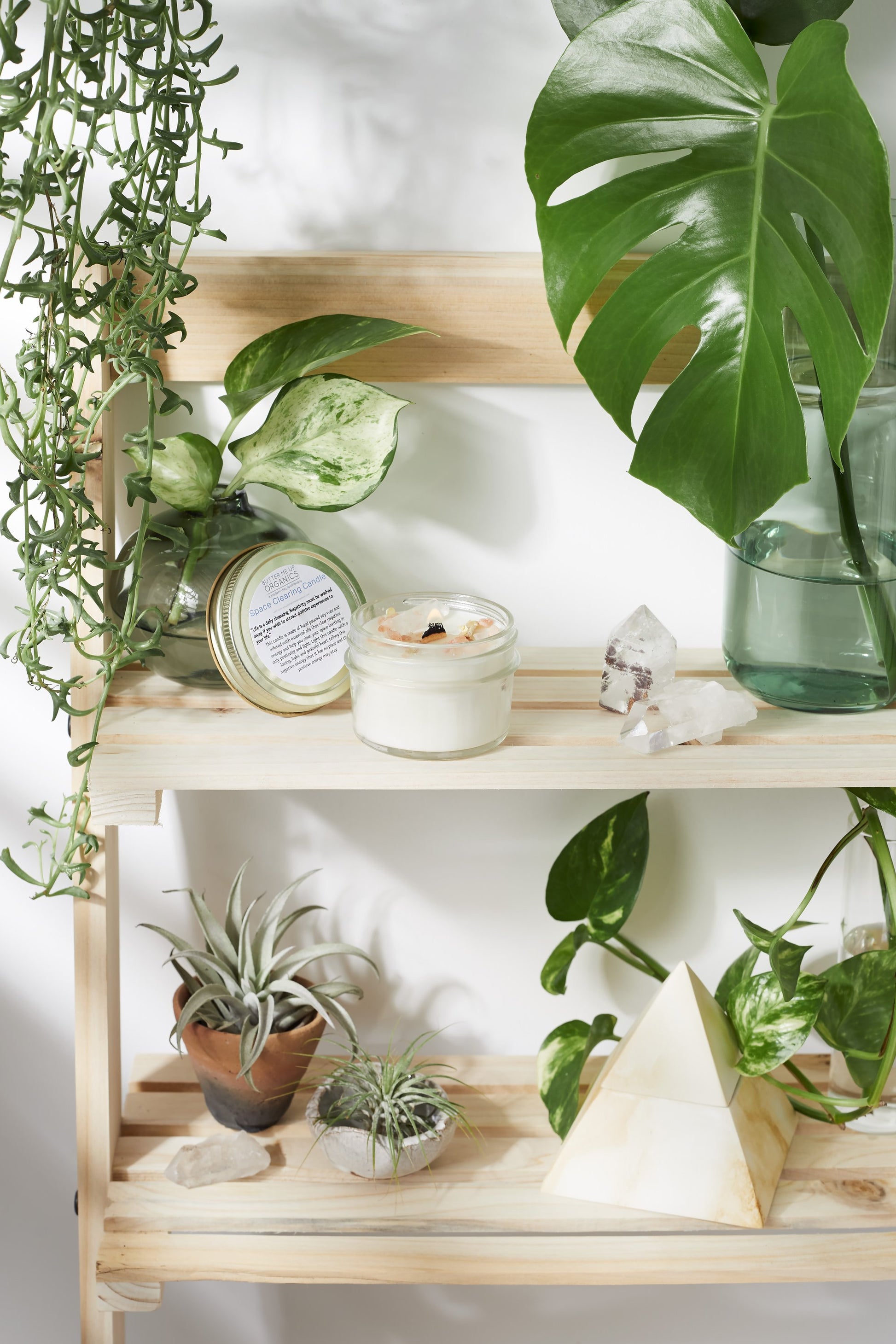 Krombee Clear and Renew Space Candle with plants