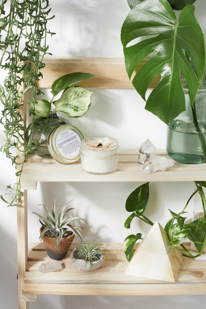 Krombee Clear and Renew Space Candle with plants