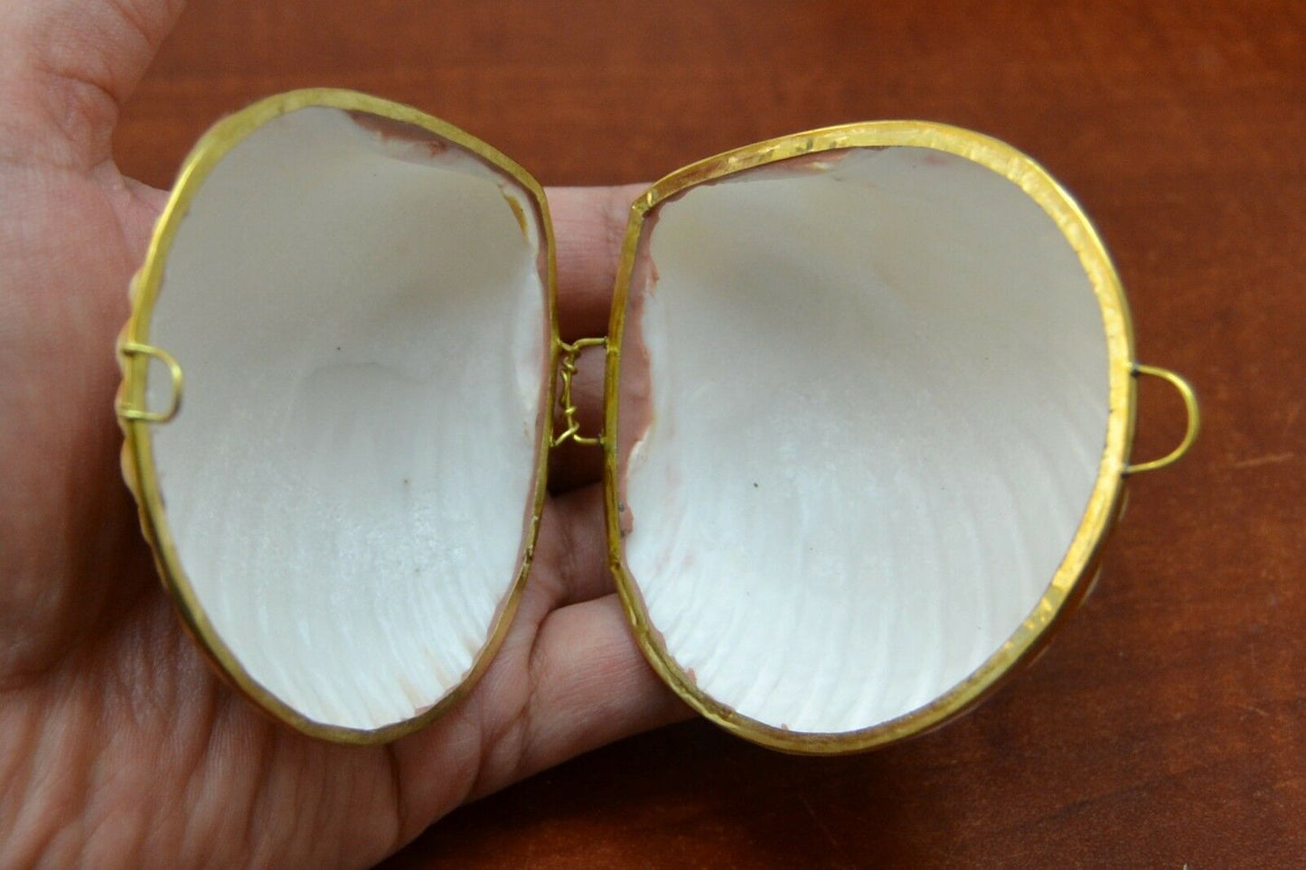 Gold-framed white shell held in a hand on a wooden surface