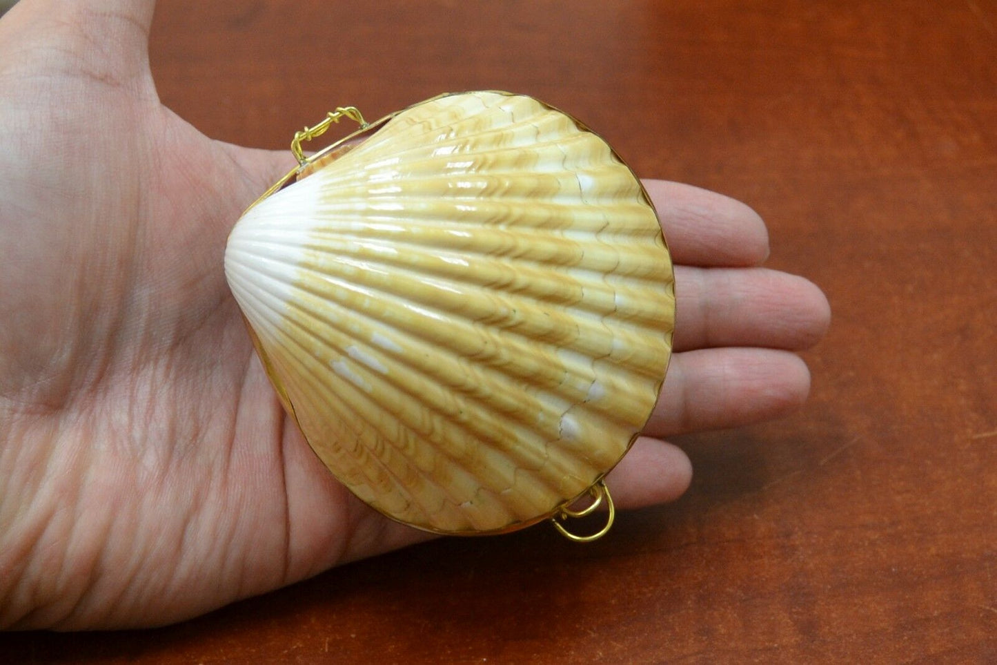 Shell-shaped handbag held in a hand on a wooden surface