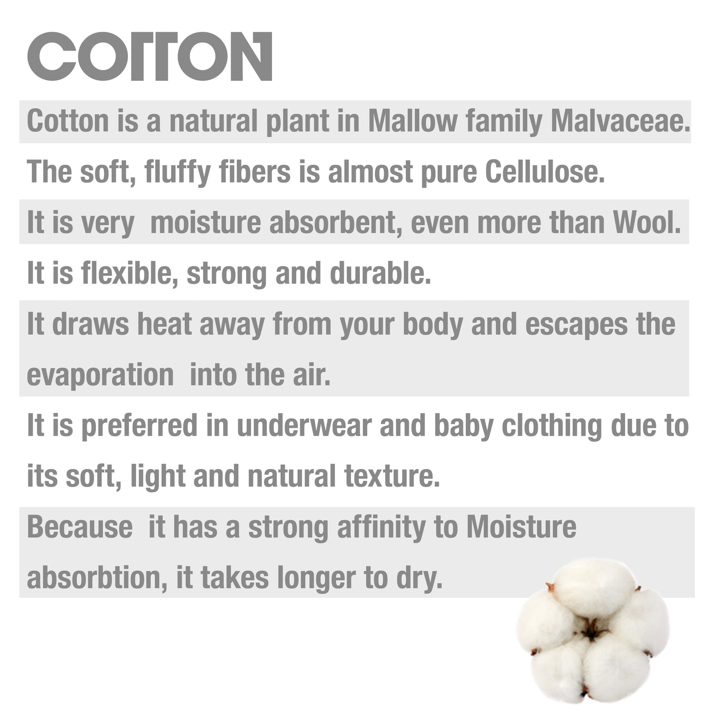 donut themed gift box with women’s cotton socks