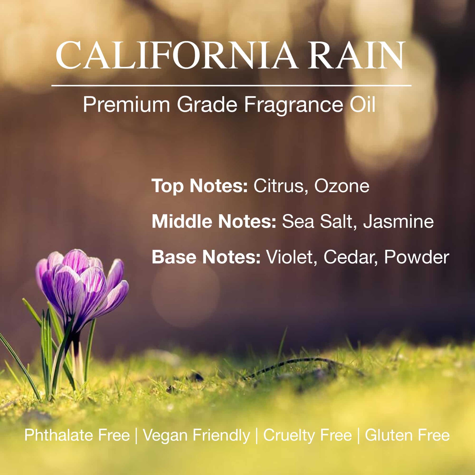 Advertisement for California Rain premium grade fragrance oil with a purple flower in the foreground.