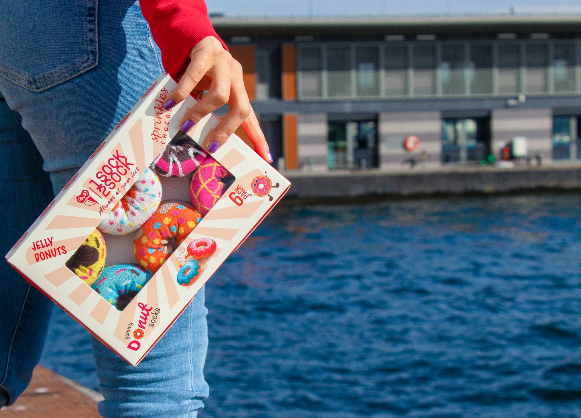 6 pack women’s crew socks laid out