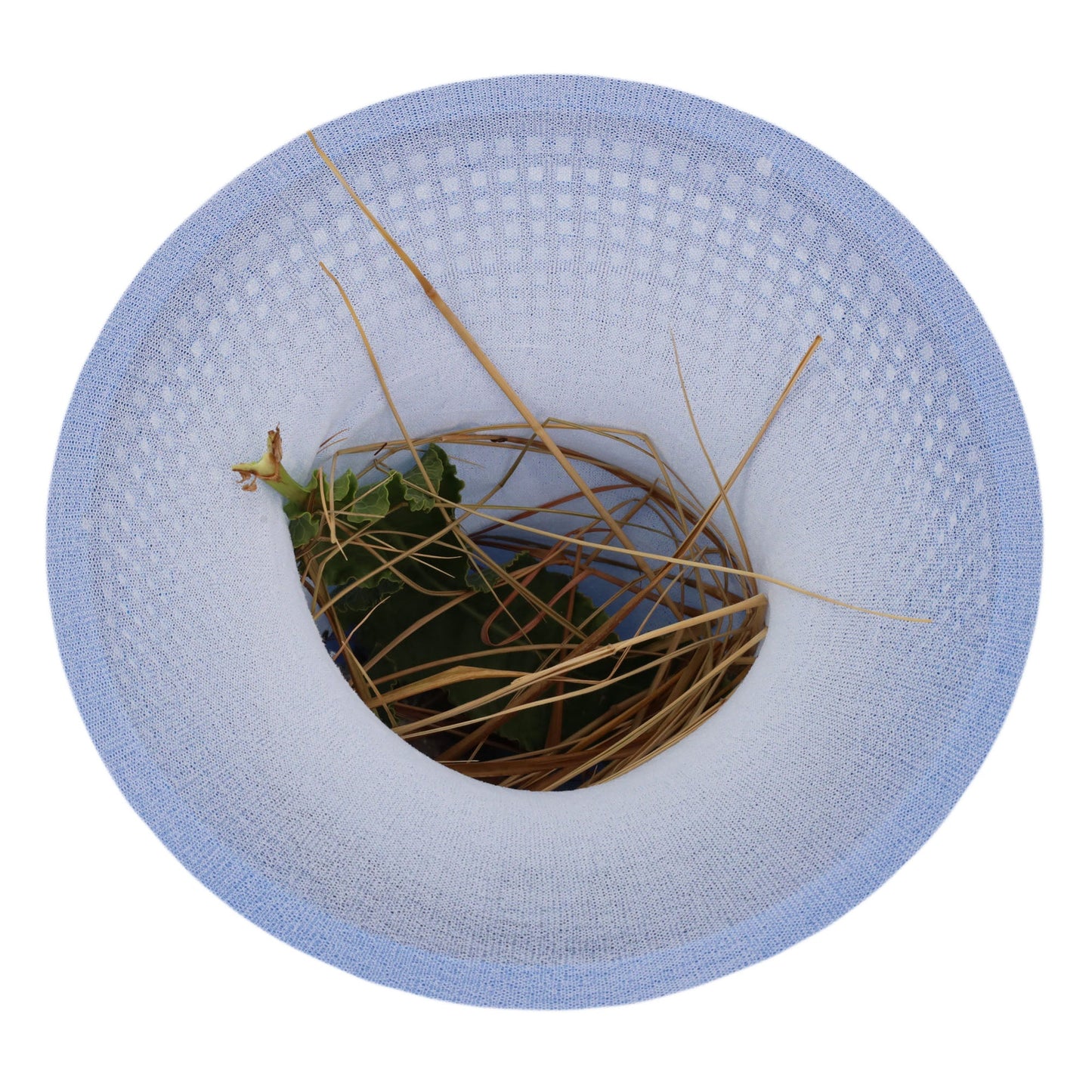 Pool debris catcher skimmer basket sock