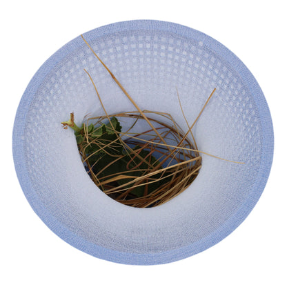 Pool debris catcher skimmer basket sock