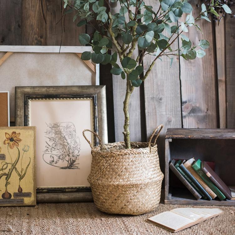 Medium size natural color belly basket used as a plant pot cover